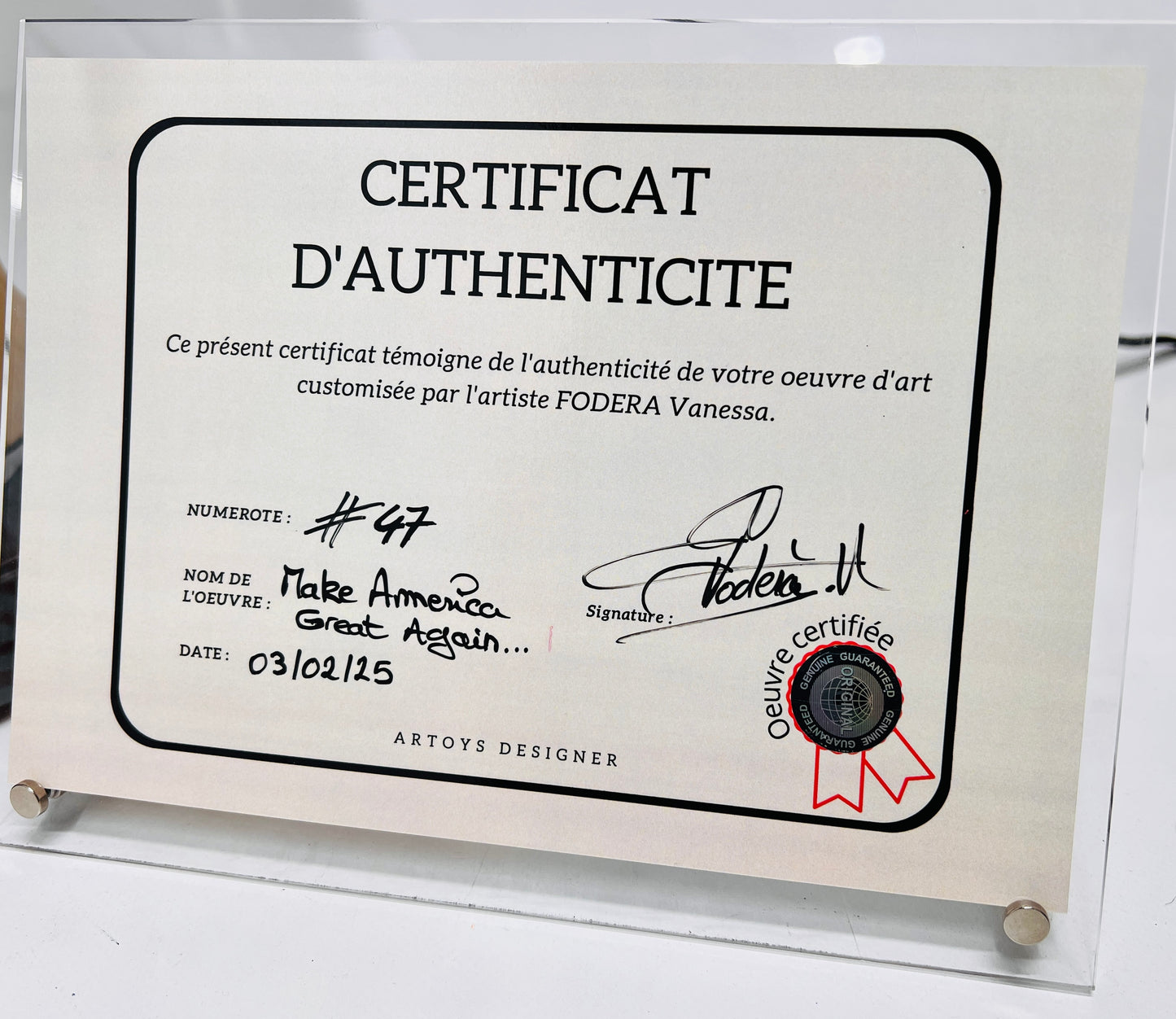 AMERICA PLAYMOBIL XXL